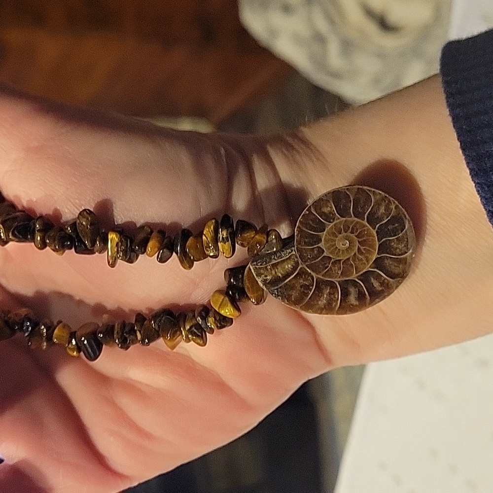 Ammonite And Tiger Eye Statement Necklace w/ Sterling lobster clasp,NWT